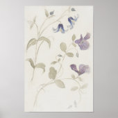 Antike Aquarellblumen Poster (Vorne)