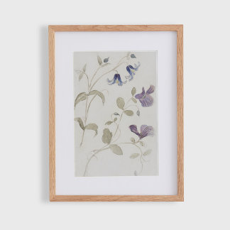Antike Aquarellblumen Poster