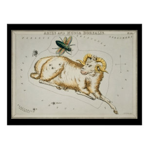 Antike Aries Astronomische Karte Zodiac Astronomie Poster