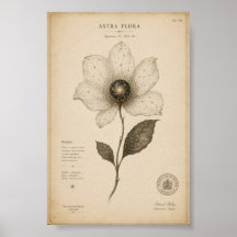 Antike astronomische Blumenwandkunst