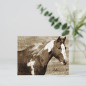 Antike Aussicht Paint Mare Postkarte (Stehend Vorderseite)