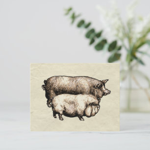 Antike Bauernhaus-Schweine-Landwirtschaft Antiquit Postkarte