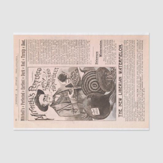 Antike Bauernhof-Katalog-rote Rüben und Seidenpapier (Vorderseite)