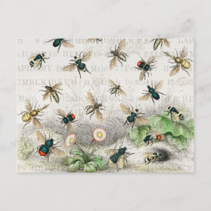 Antike Bienen-Honig-Arbeiterin Königinnen Bienen V Postkarte