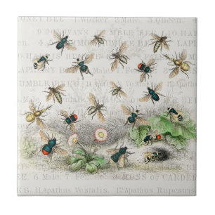 Antike Bienen-Honig-Arbeiterinnen-Königinnen-Biene Fliese