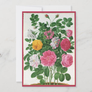 Antike blühende Blumen, Frühlingsgartenrosen