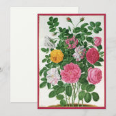 Antike blühende Blumen, Frühlingsgartenrosen (Vorne/Hinten)