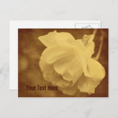 Antike Blume Vintager Rose Postkarte individuell a (Vorne/Hinten)