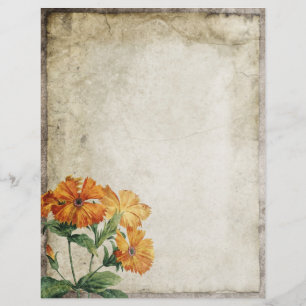 Antike Blumen Altes Pergament Scrapbook Papier