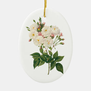 Antike Blumen Florale Blush Noisette-Rose Redoute Keramikornament