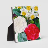 Antike Blumen Fotoplatte (Vorderseite)
