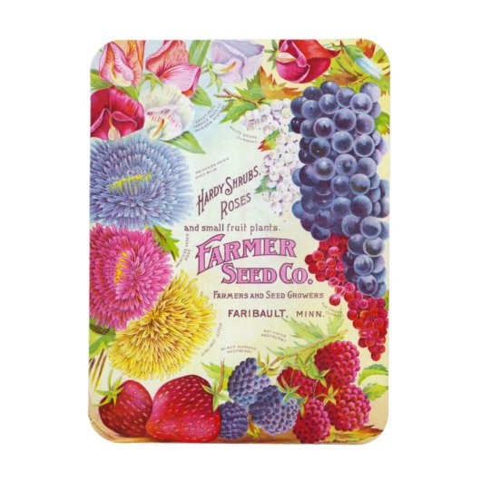 Antike Blumen & Früchte Magnet (Vertikal)