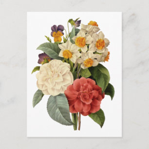 Antike Blumen, Kamelien und Narzissen, Redoute Postkarte
