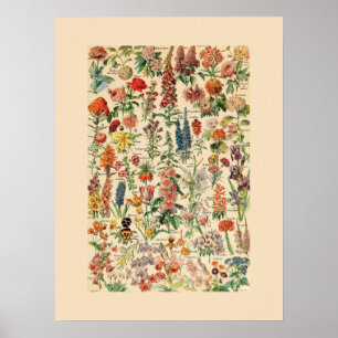Antike Blumen Poster