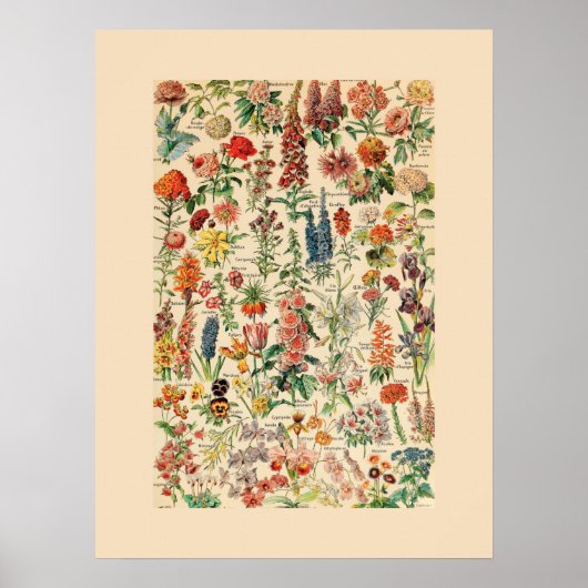 Antike Blumen Poster (Vorne)