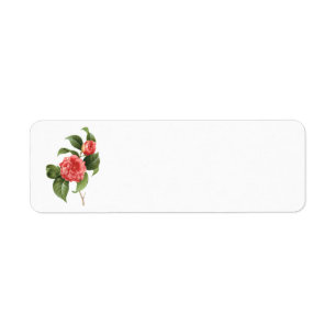 Antike Blumen, rosa Kamelienblüten von Redoute