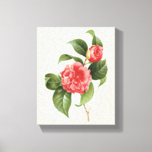Antike Blumen, Rote Kamelienblüten von Redoute Leinwanddruck