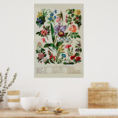 Antike Blumen Rustikale Blüten Poster (Küche)