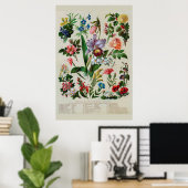 Antike Blumen Rustikale Blüten Poster (Heimbüro)