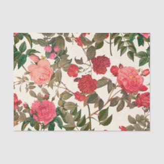 Antike Blumencreme Rosa Rosengarten Seidenpapier