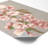 Antike Blumenfotografie Poster (Ecke)