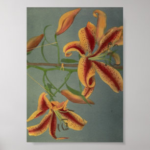 Antike Blumenfotografie Poster