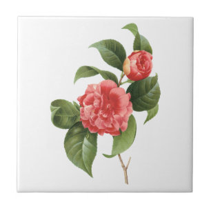 Antike Blumengemälde, rosa Kamelienblüten von Redo Fliese