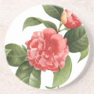 Antike Blumengemälde, rosa Kamelienblüten von Redo Sandstein Untersetzer