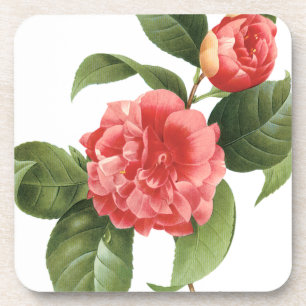 Antike Blumengestaltung, rosa Kamelienblüten von R Untersetzer
