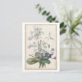 Antike Blumenpostkarte Postkarte (Stehend Vorderseite)