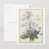 Antike Blumenpostkarte Postkarte (Vorne/Hinten)