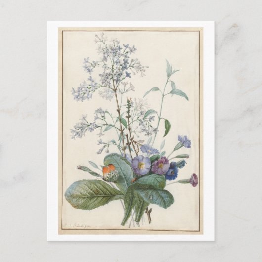 Antike Blumenpostkarte Postkarte (Vorderseite)