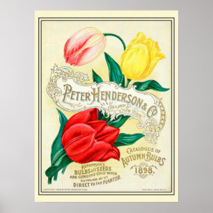 Antike Blumensamen-Kataloge für den Garten Poster