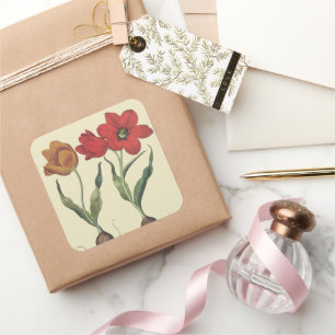 Antike Botanik, blühende Tulpenblumen und -zwiebel Quadratischer Aufkleber