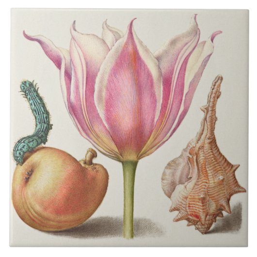 Antike Botanik Fliese (Vorderseite)