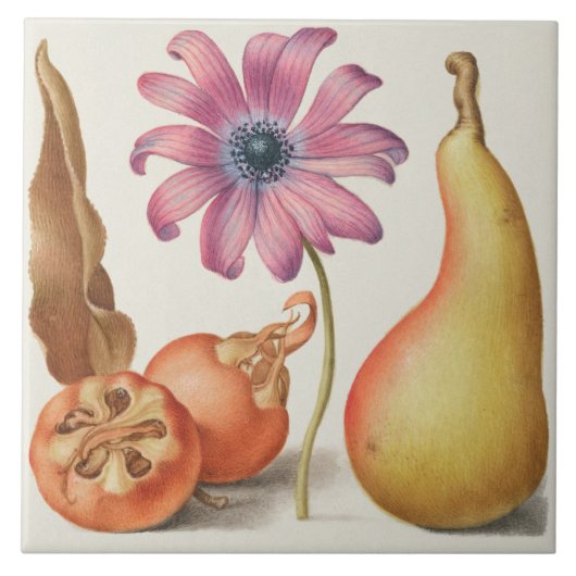 Antike Botanik Fliese (Vorderseite)