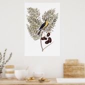 Antike Botanik mit gelbem Vogel Poster (Küche)