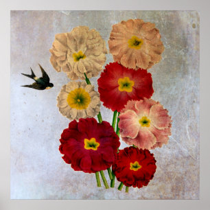 Antike botanische Blumen Schwalbe Vogel Rustikales Poster
