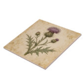 Antike Botanische Distel Fliese (Seite)