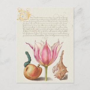 Antike botanische Festtags-Postkarte Feiertagspostkarte