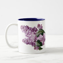 Antike botanische Fliederblüten Tee
