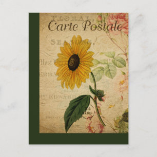 Antike botanische französische Postkarte Sonnenblu