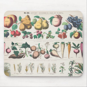 Antike botanische Grafik: Wirtschaftliche Nutzung Mousepad