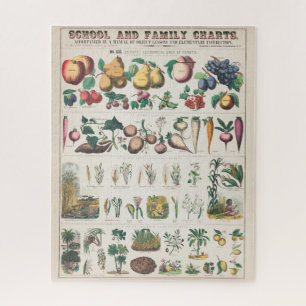 Antike botanische Grafik: Wirtschaftliche Nutzung Puzzle
