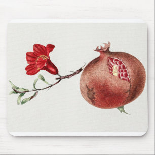 Antike botanische Illustration eines Granatapfels Mousepad
