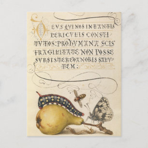 Antike botanische Illustration Feiertagspostkarte