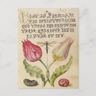 Antike botanische Illustration Feiertagspostkarte