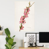 Antike botanische Illustration Poster (Heimbüro)