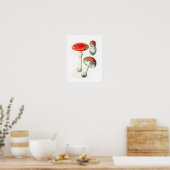 Antike botanische Illustration Poster (Küche)