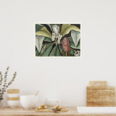 Antike botanische Illustration Poster (Küche)